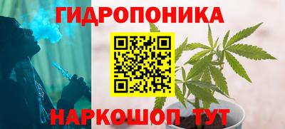 крисы Жуковский