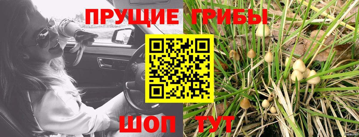 Галлюциногенные грибы ЛСД Дзержинский